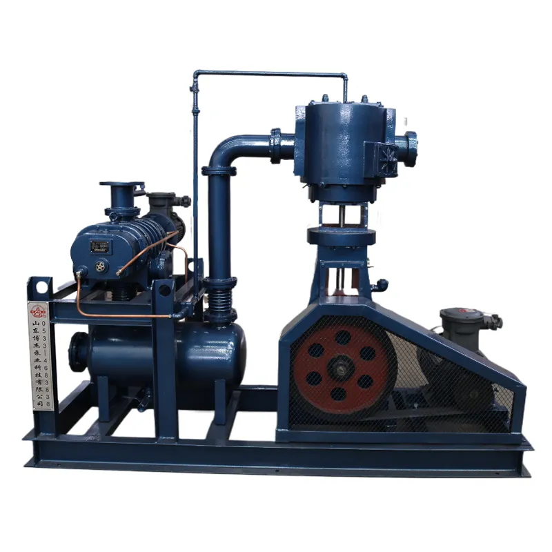 WL WLW Series Vertical Reciprocating Vacuum Pump